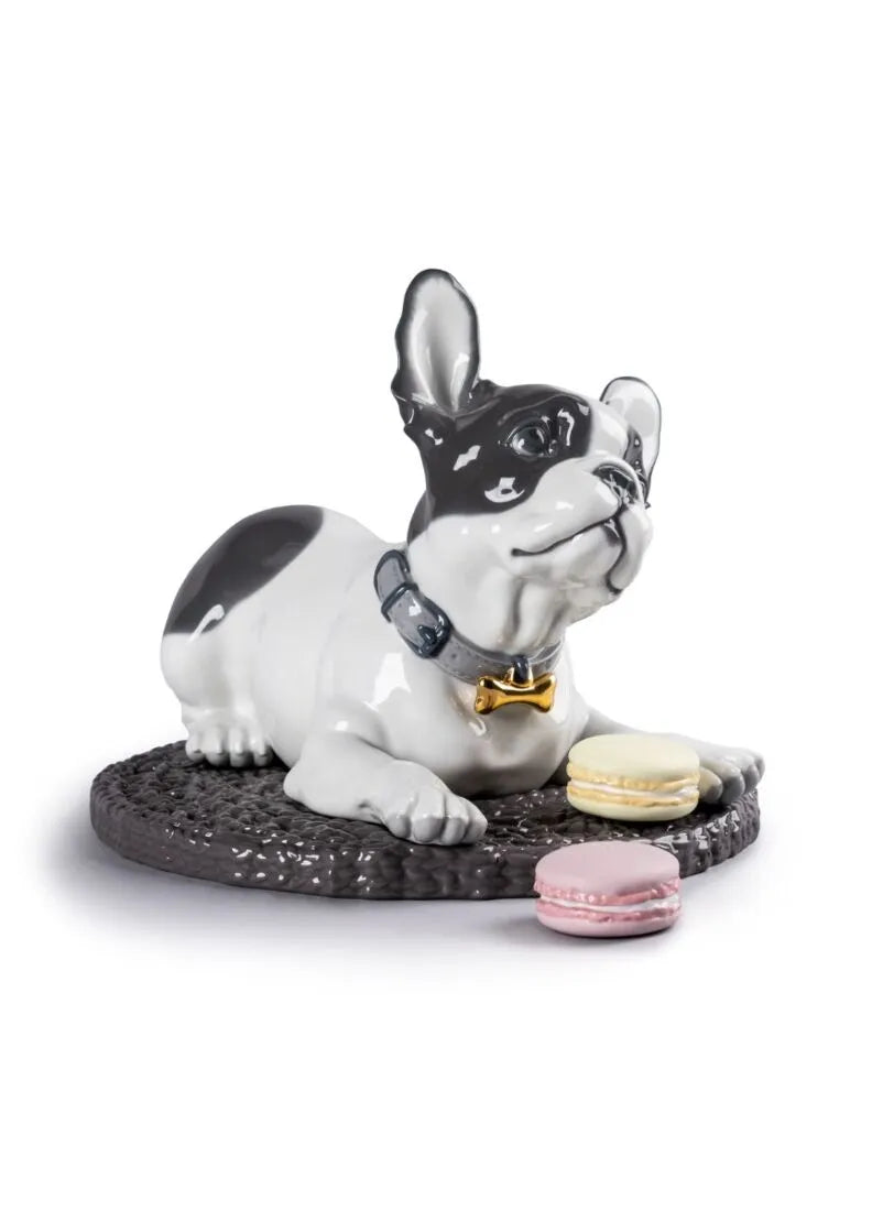 FRENCH BULLDOG WITH MACARONS