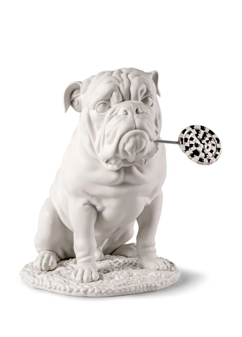 Bulldog with lollipop