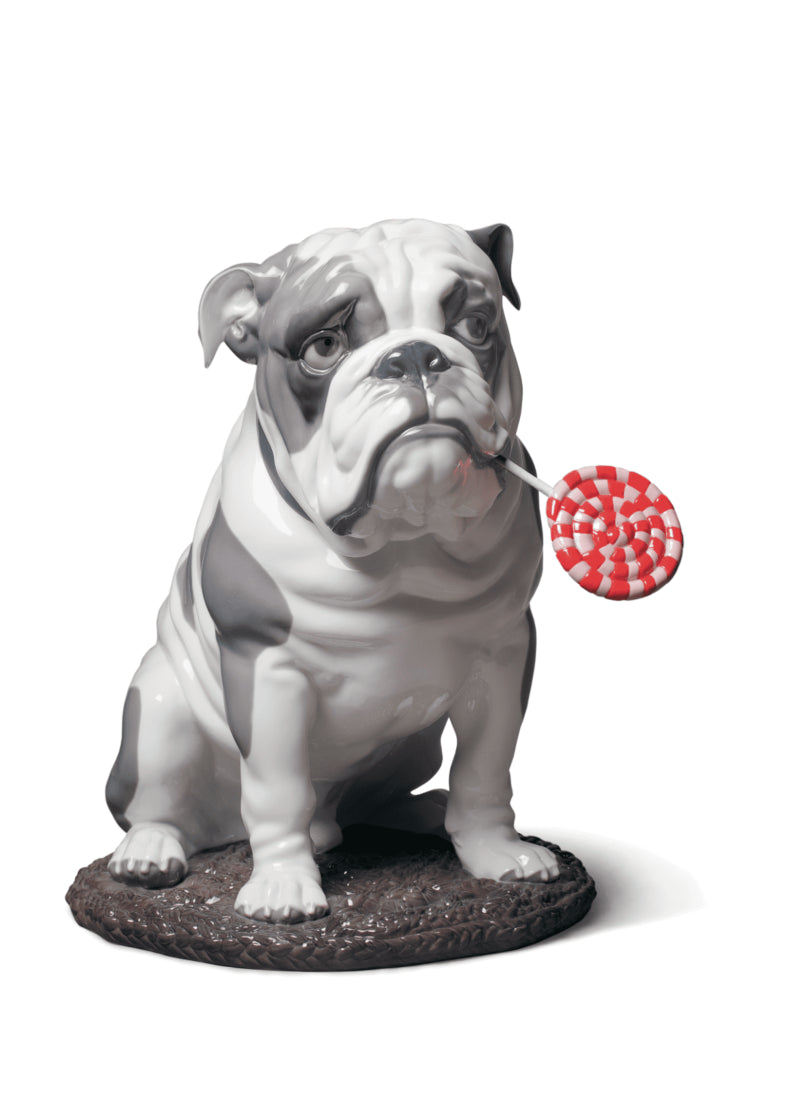 Bulldog with Lollipop
