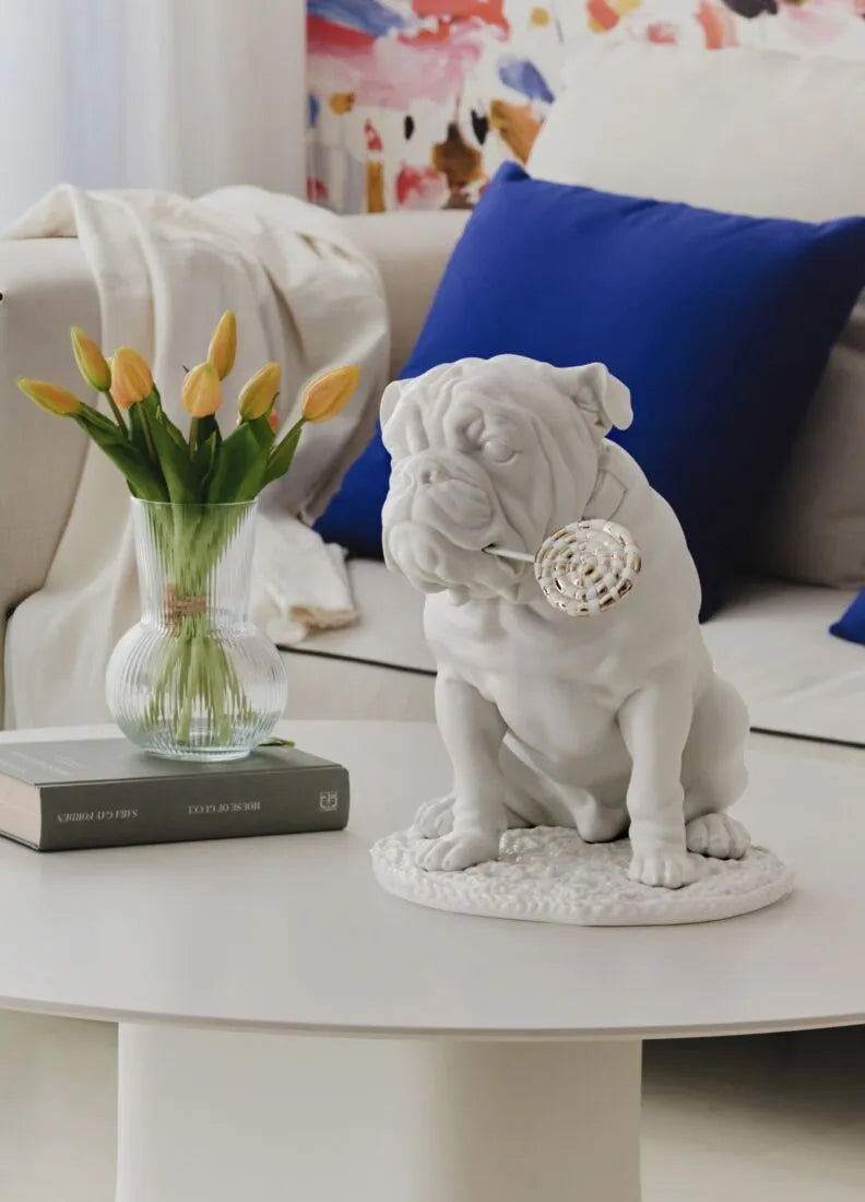 Bulldog with lollipop