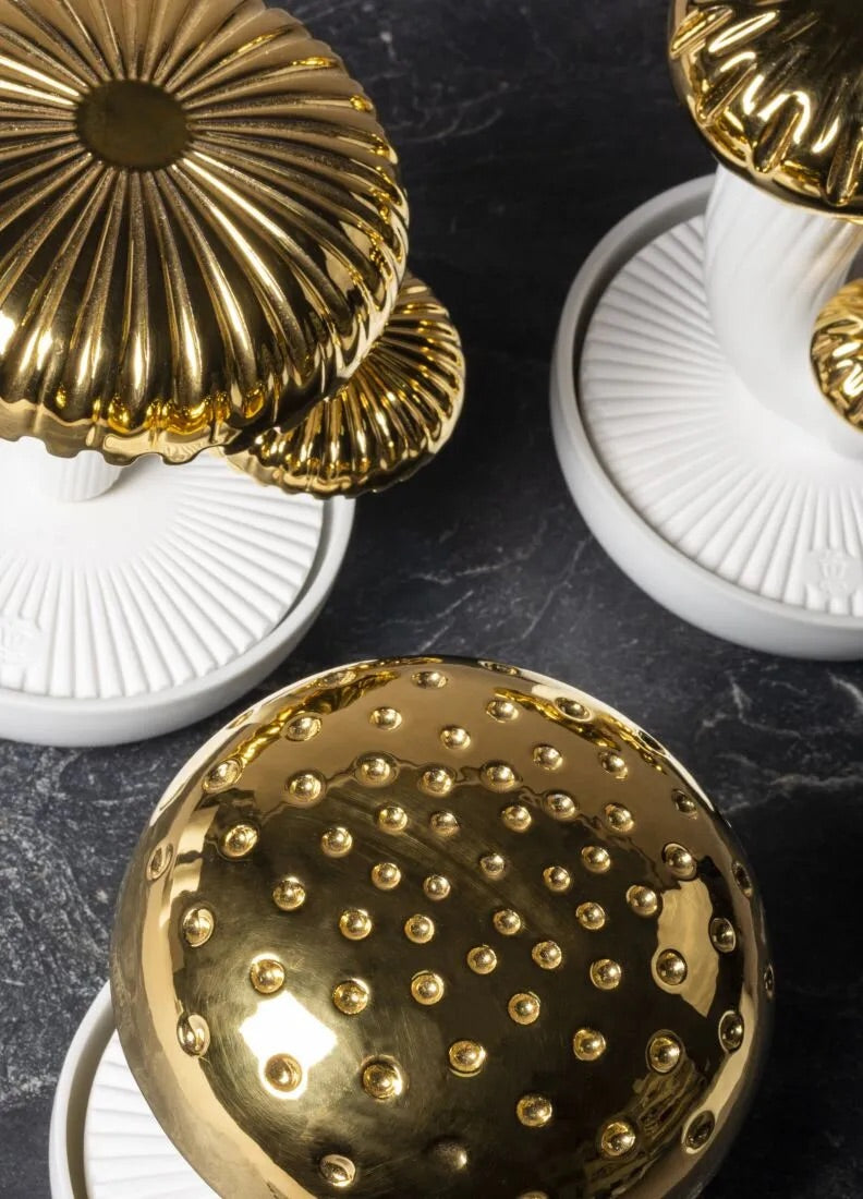 Boletus 3 - Gardens of Valencia