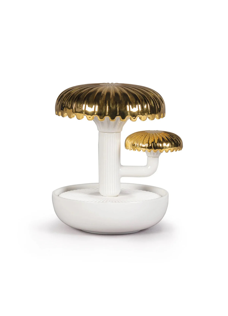 Boletus 2-Night approaches