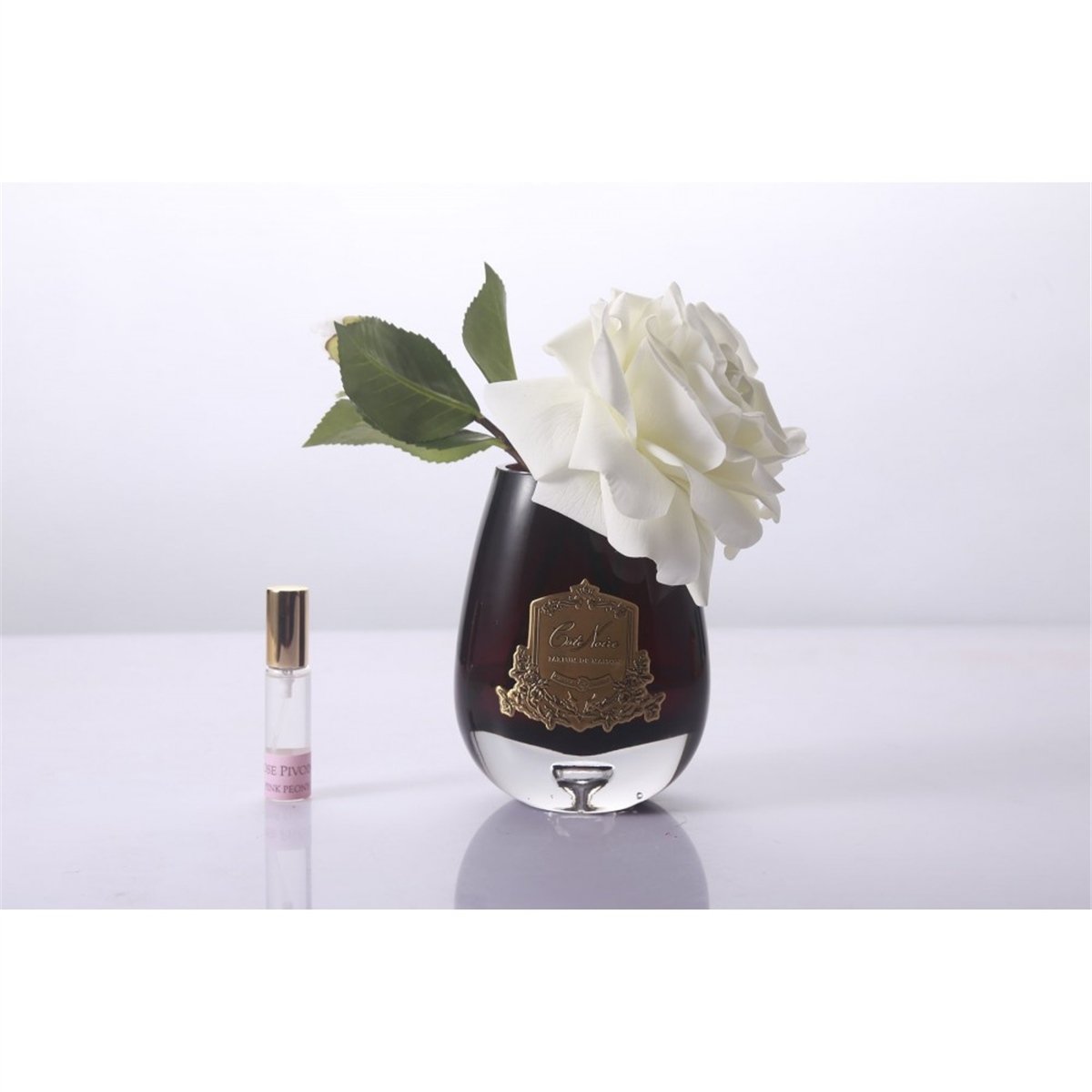 Cote Noire - Ekru Gold Vazolu Koku