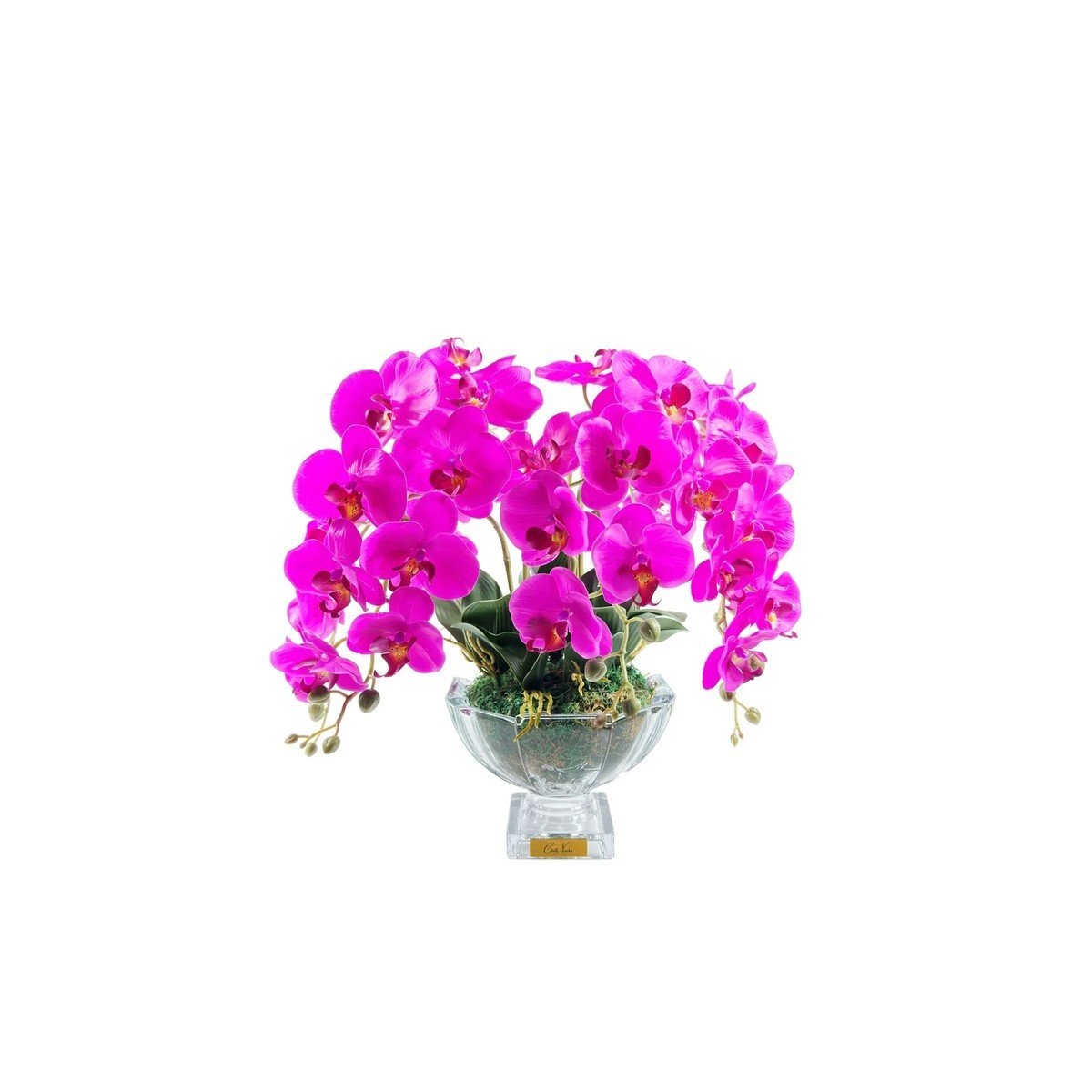 Cote Noire - Luxury Centerpiece Mor Orkide Koku