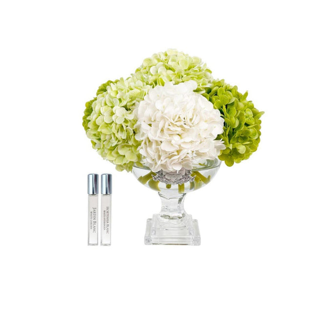 Cote Noire - Provence Yeşil & Silver Ortanca Koku M