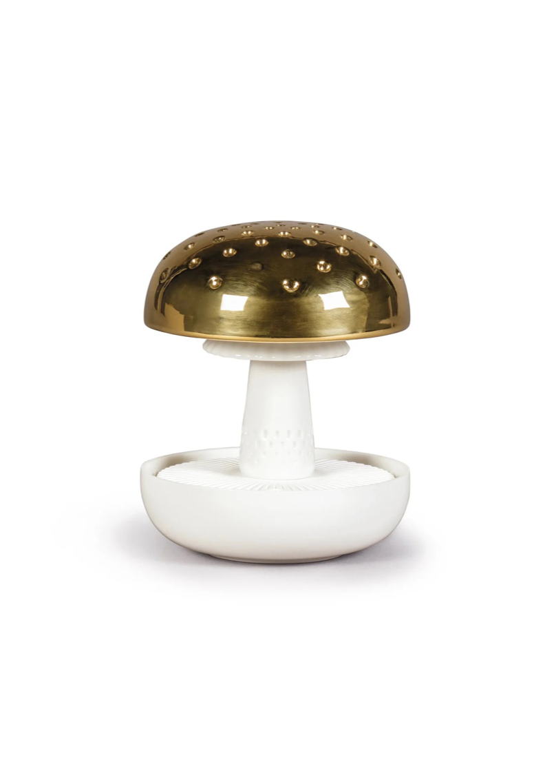 Boletus 1-On the prairie